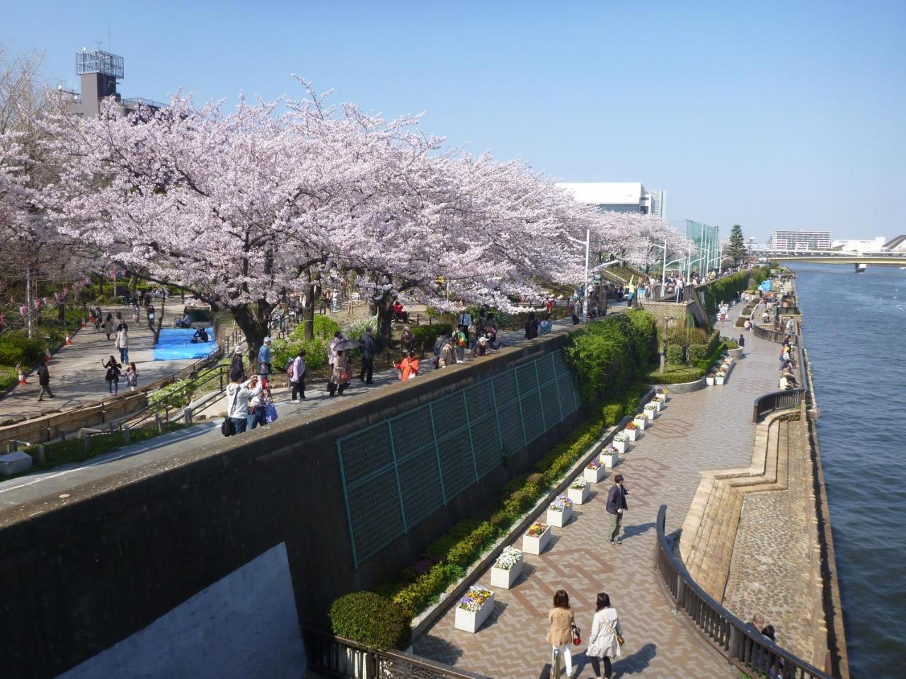 New Tochigiya Tokyo prefektur